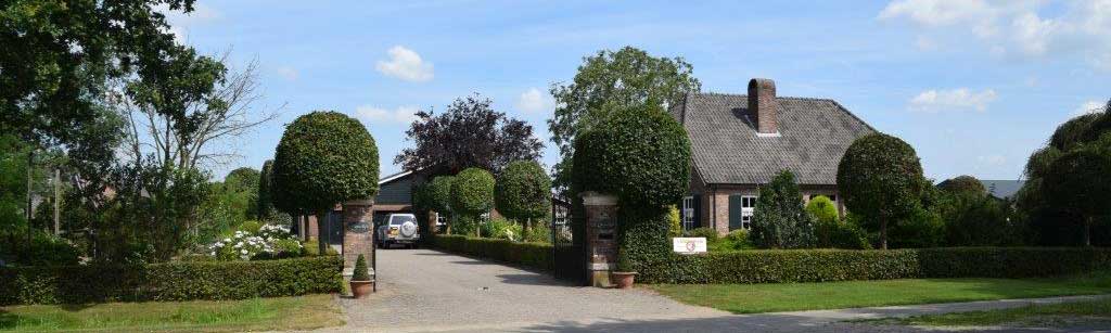 dierenpension-trimsalon-mierds-hofke.jpg